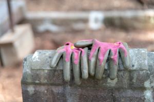 39003746_437608506644989_3377021910264053760_o